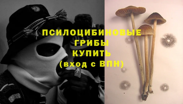 трава Костерёво