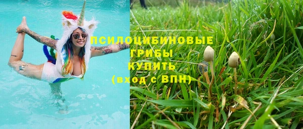 трава Костерёво