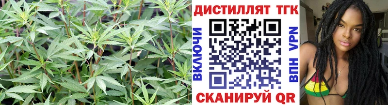 ТГК Wax  Приволжский 